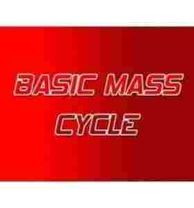 Ciclo Básico de Esteroides em Massa