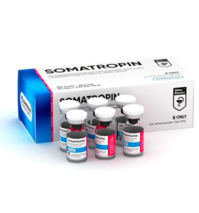 HGH Somatropina / Pó Hilma Biocare EU