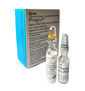 HCG 5000 UI MSD Grécia