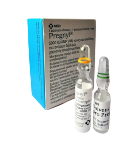 HCG 5000 UI MSD Grécia