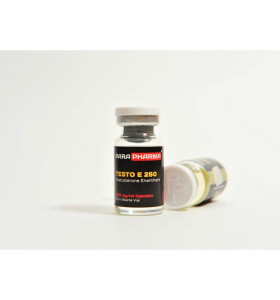 Testo E 2500 Mg 10 Ml Para Pharma Testo E 2500 Mg 10 Ml Para Pharma