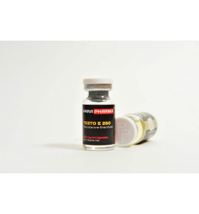 Testo E 2500 Mg 10 Ml Para Pharma Testo E 2500 Mg 10 Ml Para Pharma