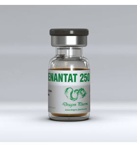 Enantato 250 mg 10 Ml Dragon Pharma - DPTE250 - Dragon Pharma