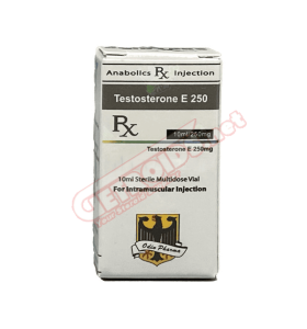 Enantato de testosterona 250 mg 10 ml Odin Pharma Enantato de testosterona 250 mg 10 ml Odin Pharma