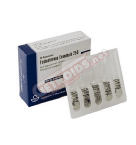 Enantato de testosterona 1 amp 250 mg Aburaihan Enantato de testosterona 1 amp 250 mg Aburaihan