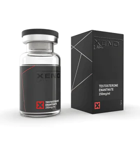 Testosterone Enanthate 250 mg 10 ml Xeno US