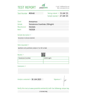 Testosterone Enanthate 250 mg 10 ml Xeno US