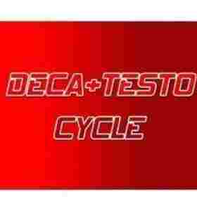Deca - Texto do Ciclo Deca - Texto do Ciclo