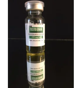 Testosterone Enanthate 250  mg  10 ml  Atlas Labs