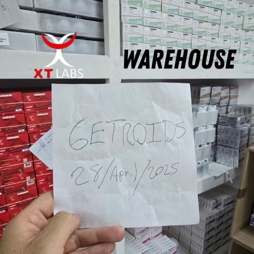 armazém de esteróides xt labs